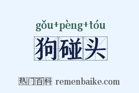 狗碰头是什么意思的图片